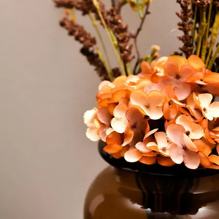 Miadora - Apartma Idina Apartment