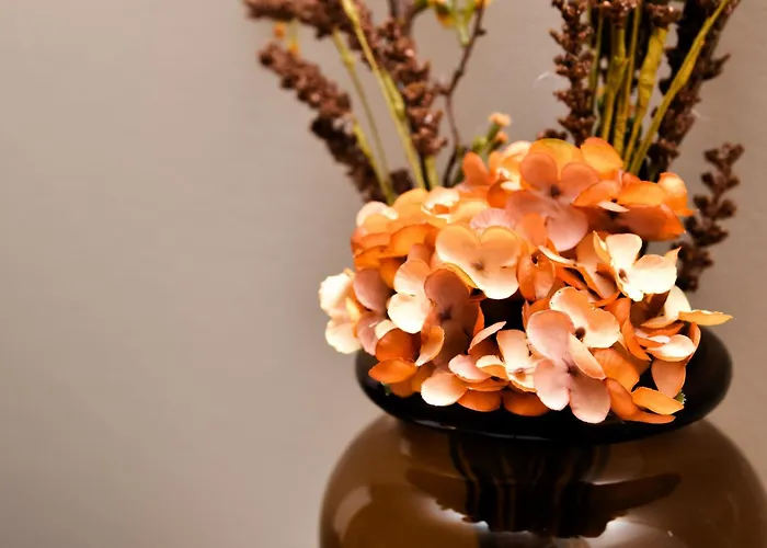 Miadora - Apartma Idina Daire